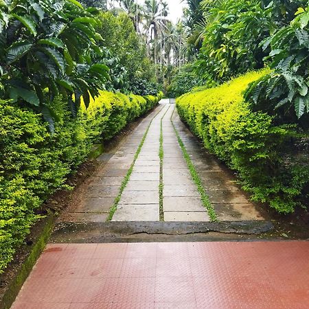 Wayanad Green Park Resort Ambalavayal Rum bild