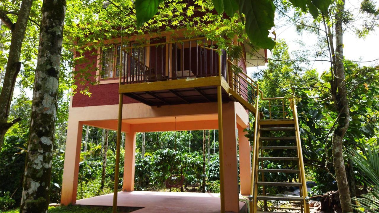 Wayanad Green Park Resort Ambalavayal Exteriör bild