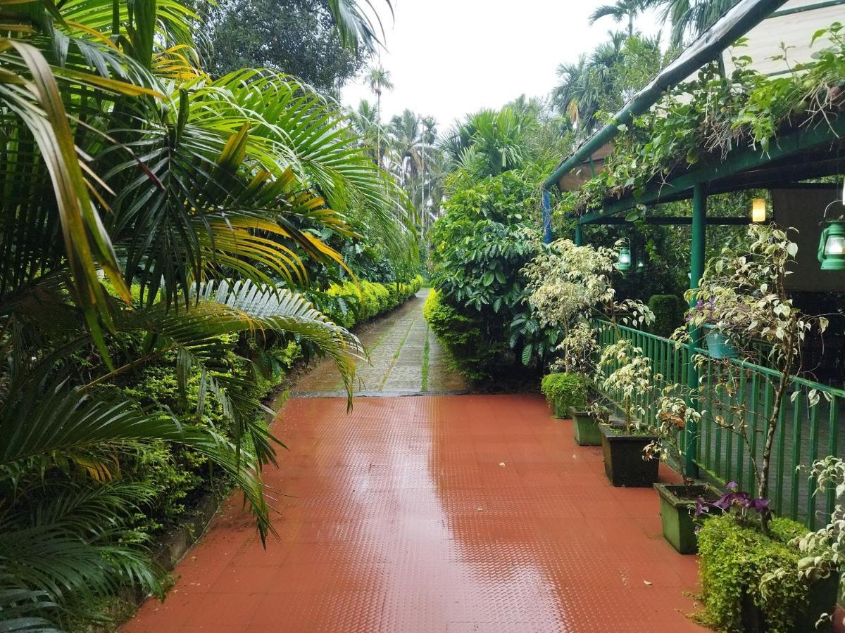 Wayanad Green Park Resort Ambalavayal Exteriör bild
