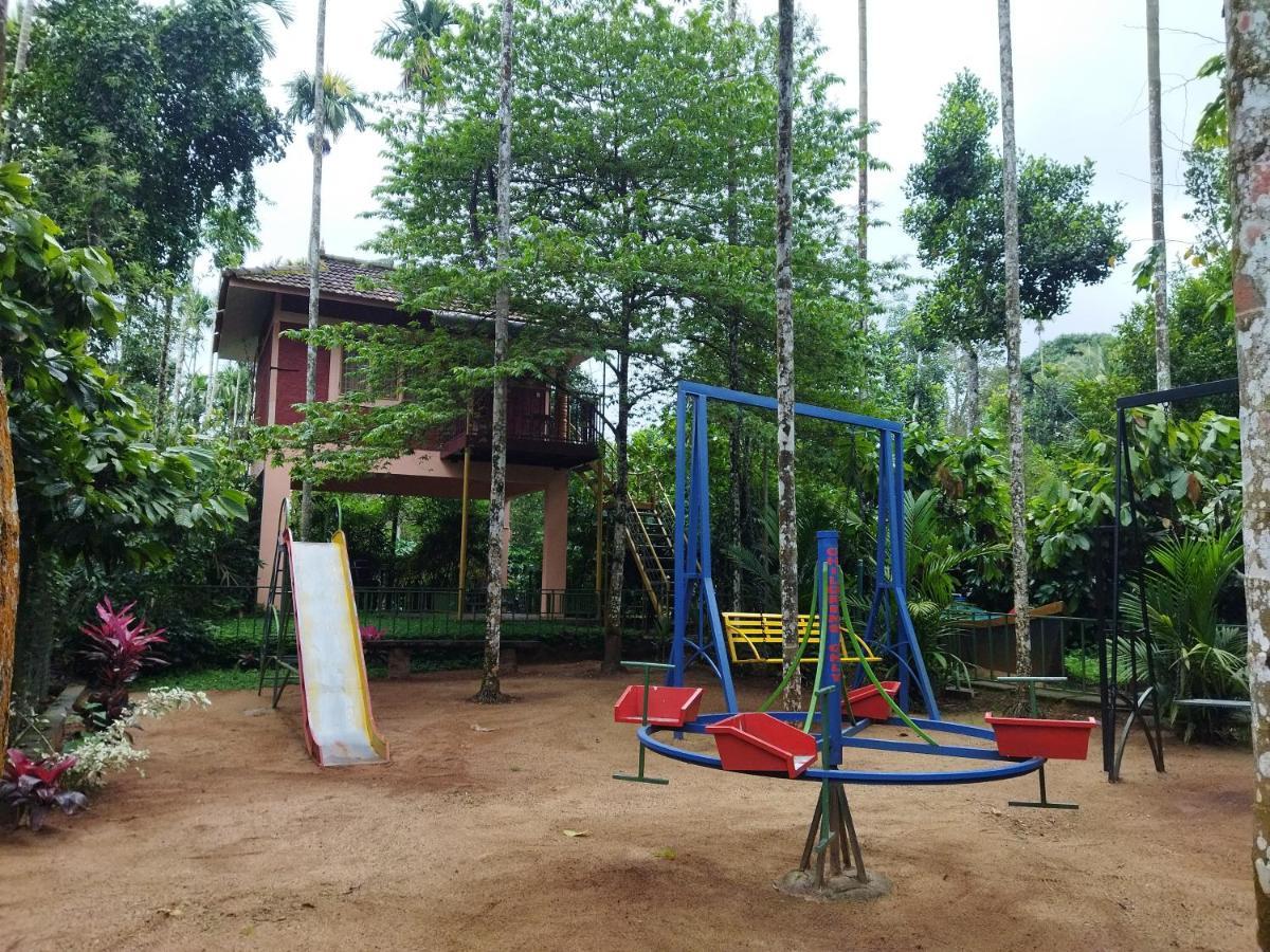 Wayanad Green Park Resort Ambalavayal Exteriör bild