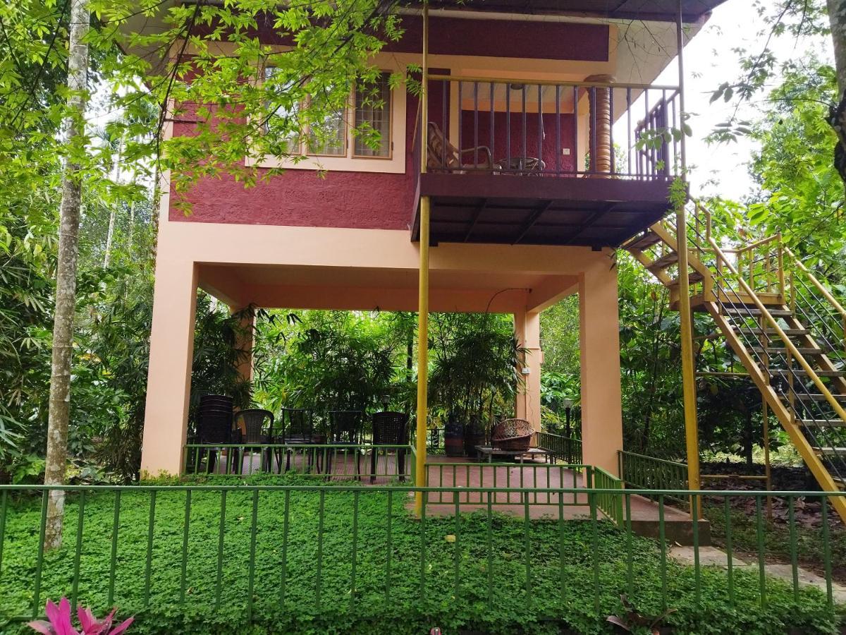 Wayanad Green Park Resort Ambalavayal Exteriör bild