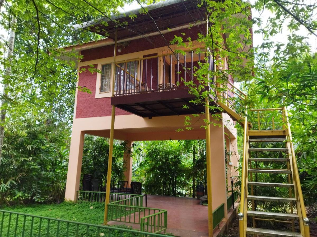 Wayanad Green Park Resort Ambalavayal Exteriör bild
