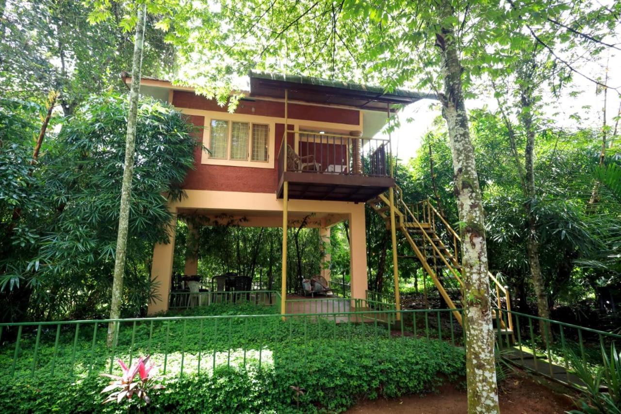 Wayanad Green Park Resort Ambalavayal Exteriör bild