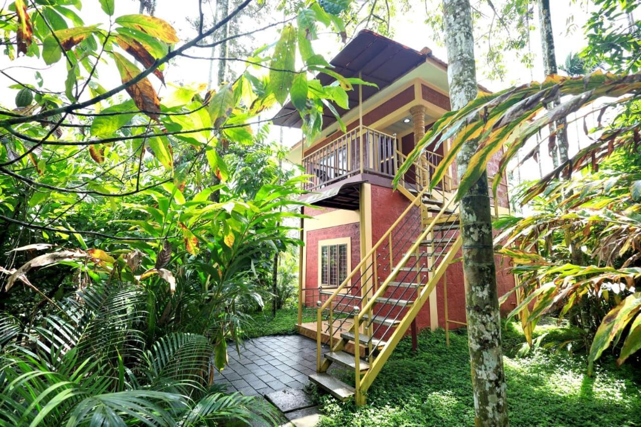 Wayanad Green Park Resort Ambalavayal Exteriör bild