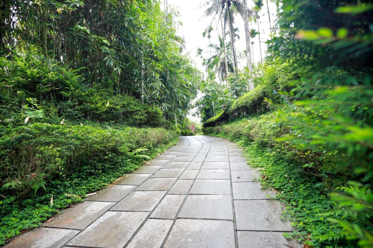Wayanad Green Park Resort Ambalavayal Exteriör bild