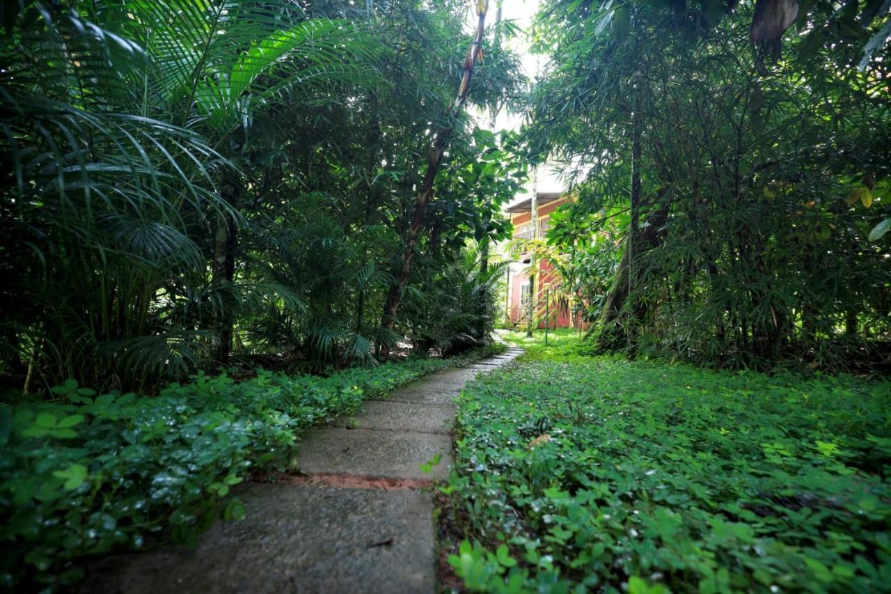 Wayanad Green Park Resort Ambalavayal Exteriör bild