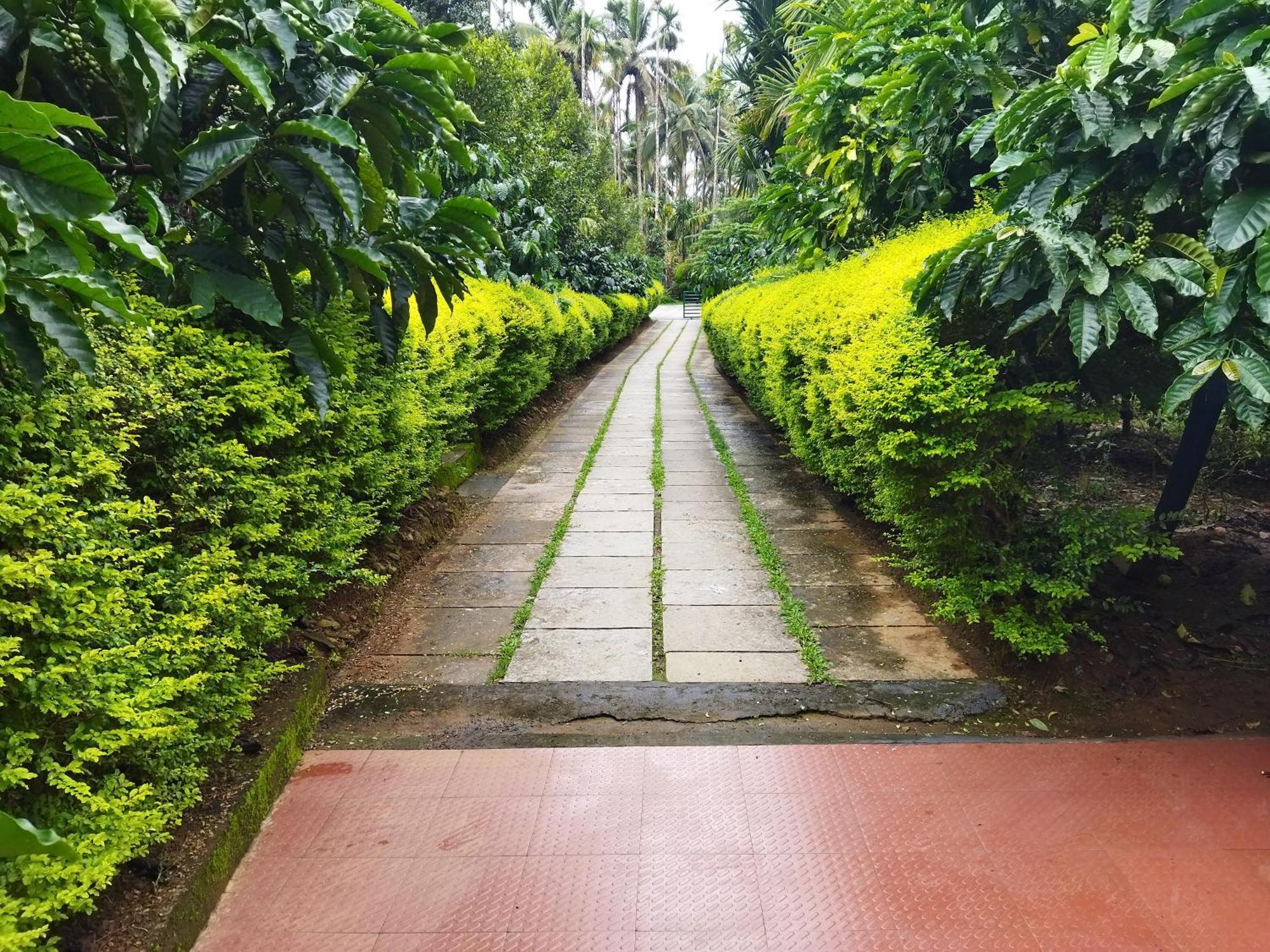 Wayanad Green Park Resort Ambalavayal Rum bild
