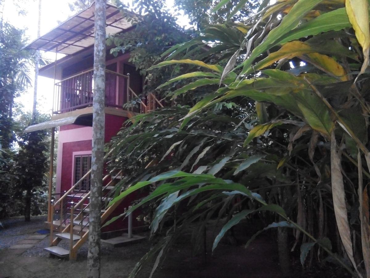 Wayanad Green Park Resort Ambalavayal Exteriör bild