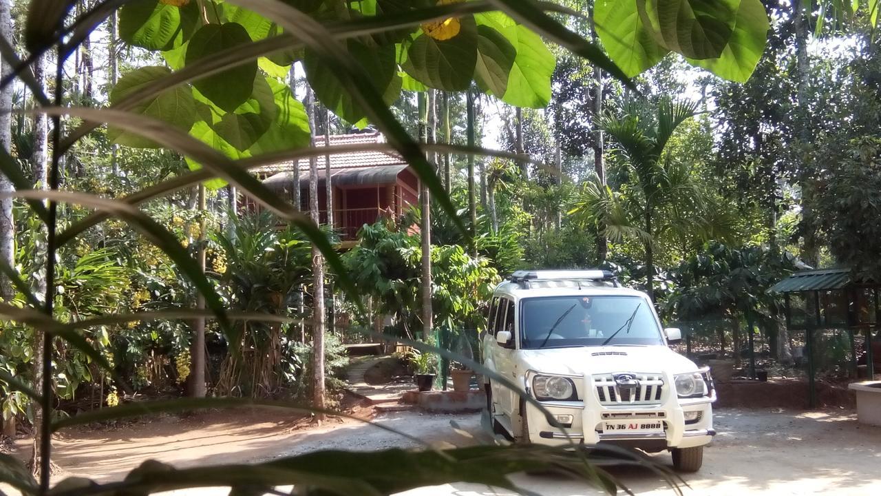 Wayanad Green Park Resort Ambalavayal Exteriör bild