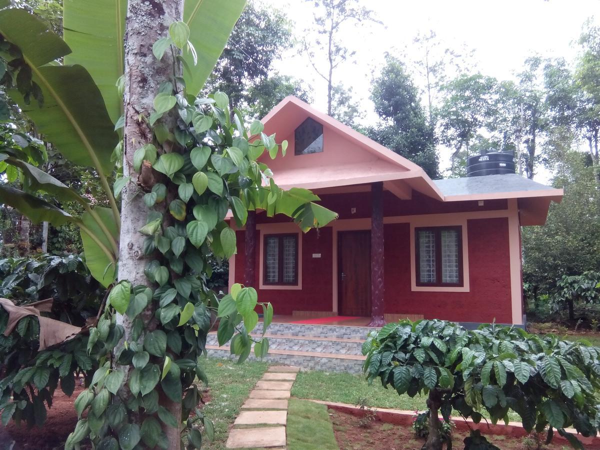 Wayanad Green Park Resort Ambalavayal Exteriör bild
