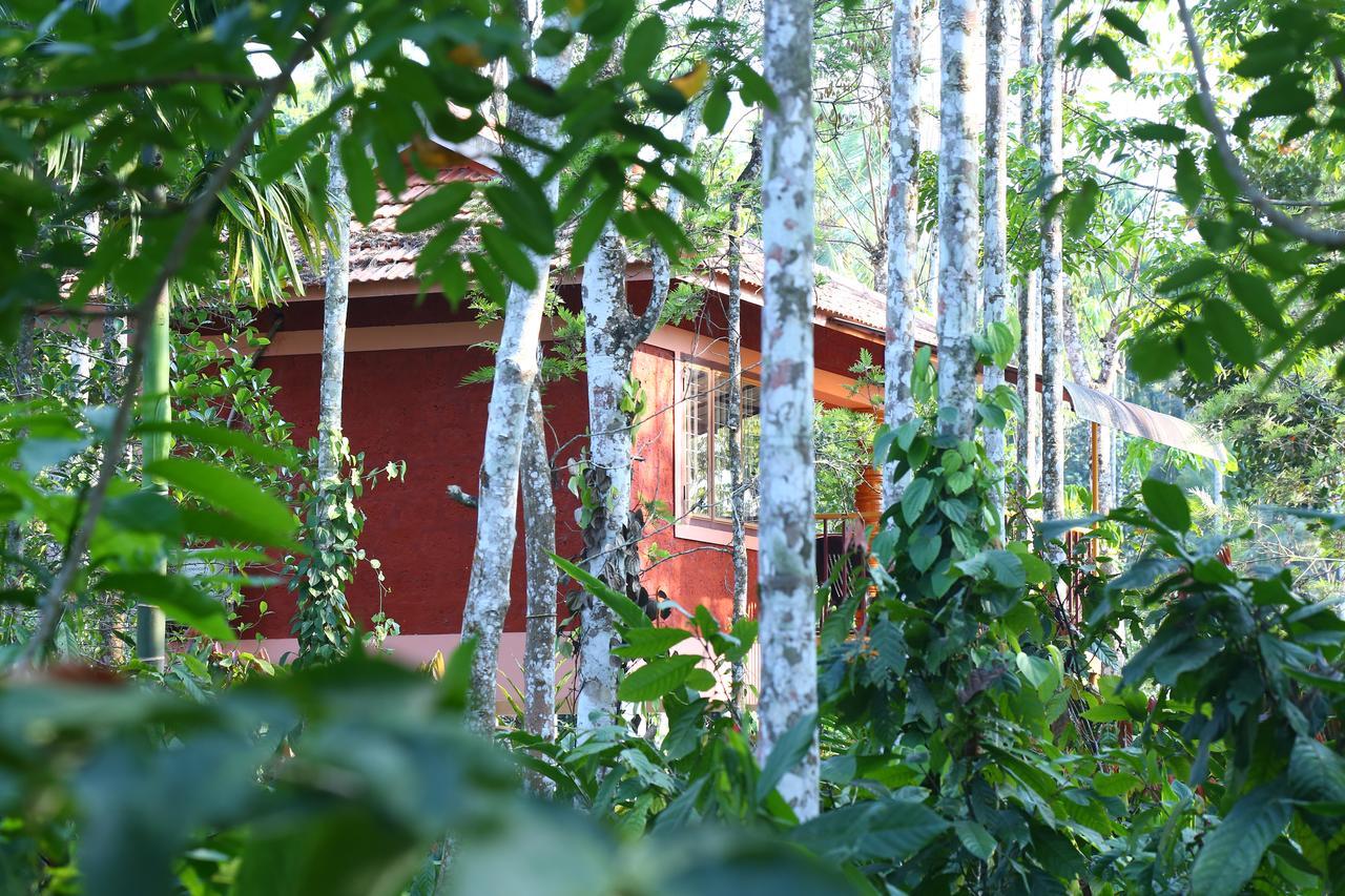 Wayanad Green Park Resort Ambalavayal Exteriör bild