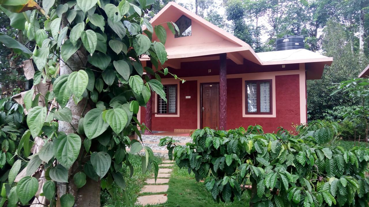 Wayanad Green Park Resort Ambalavayal Exteriör bild