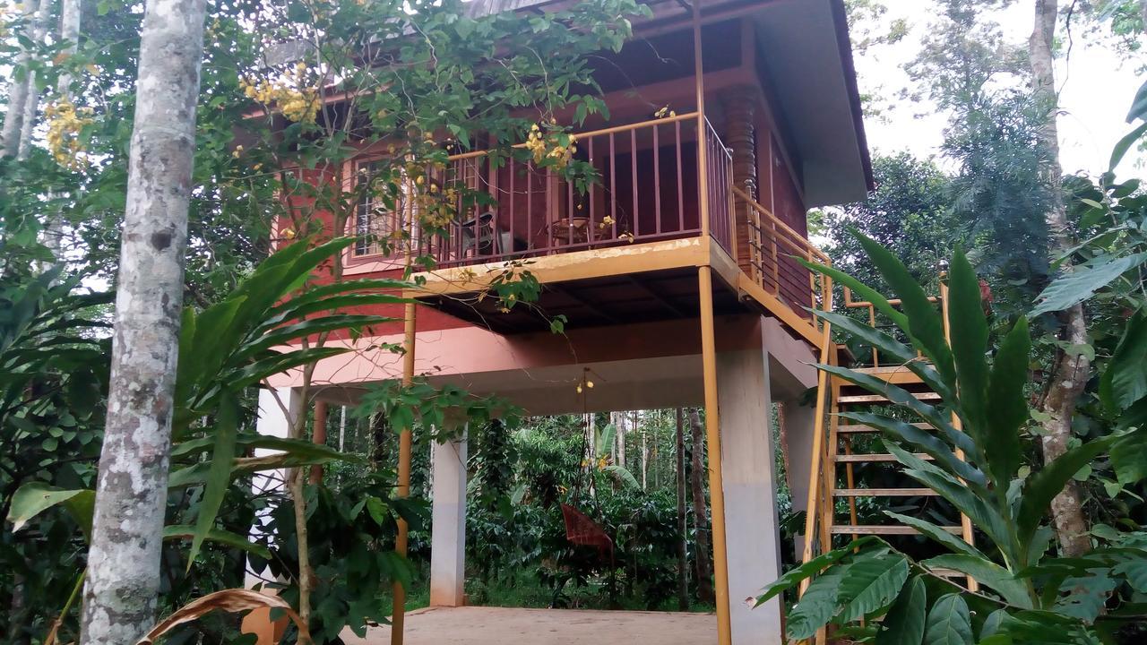 Wayanad Green Park Resort Ambalavayal Exteriör bild