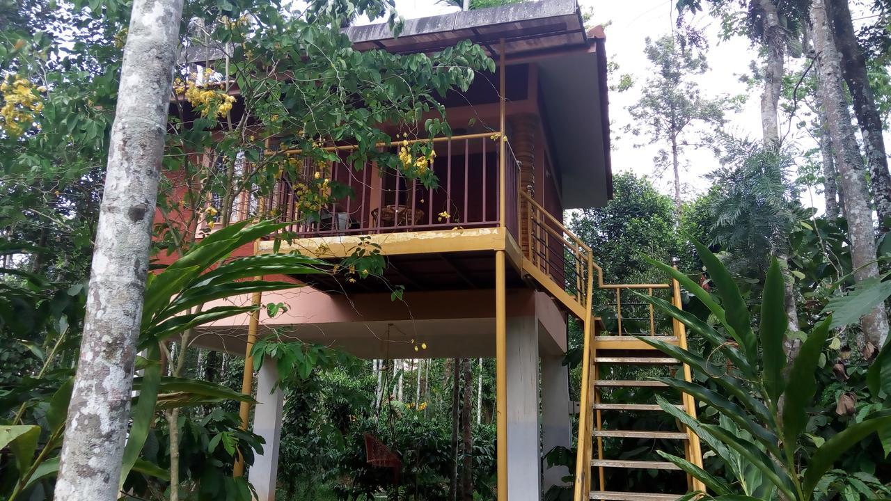 Wayanad Green Park Resort Ambalavayal Exteriör bild
