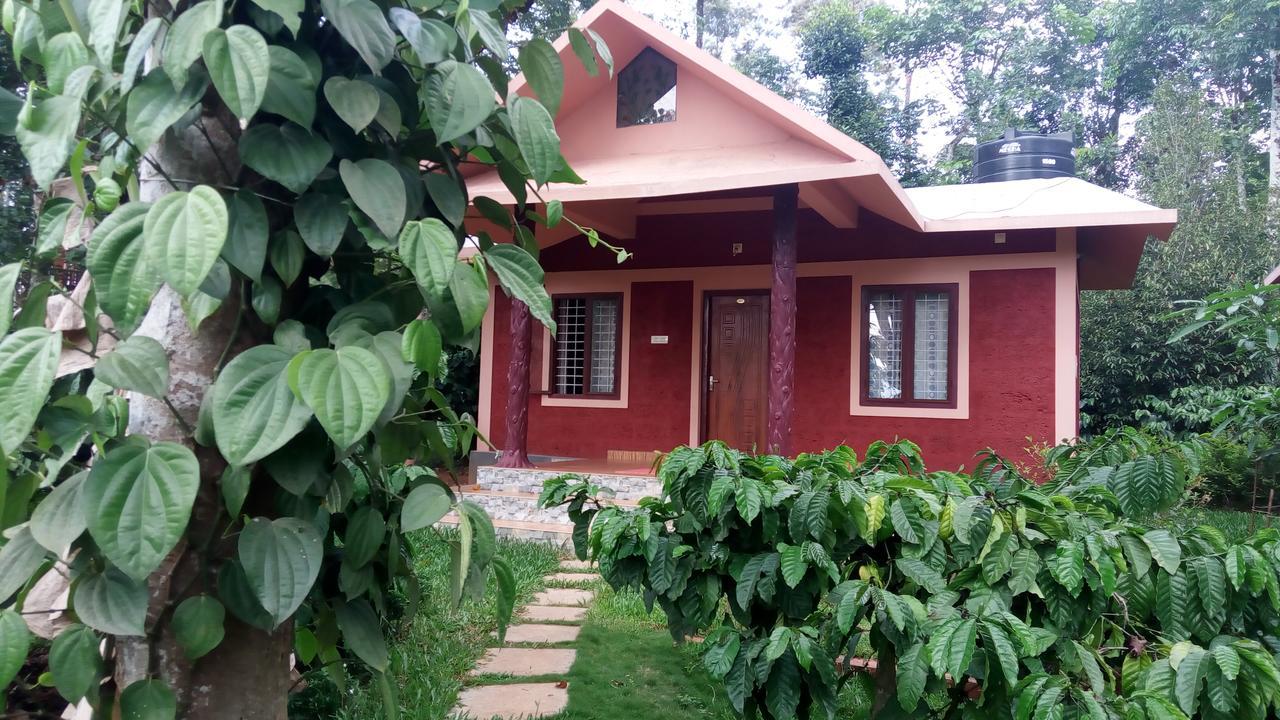 Wayanad Green Park Resort Ambalavayal Exteriör bild