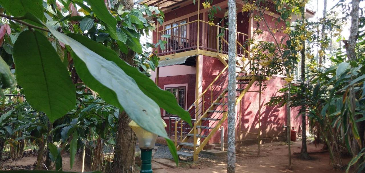 Wayanad Green Park Resort Ambalavayal Exteriör bild